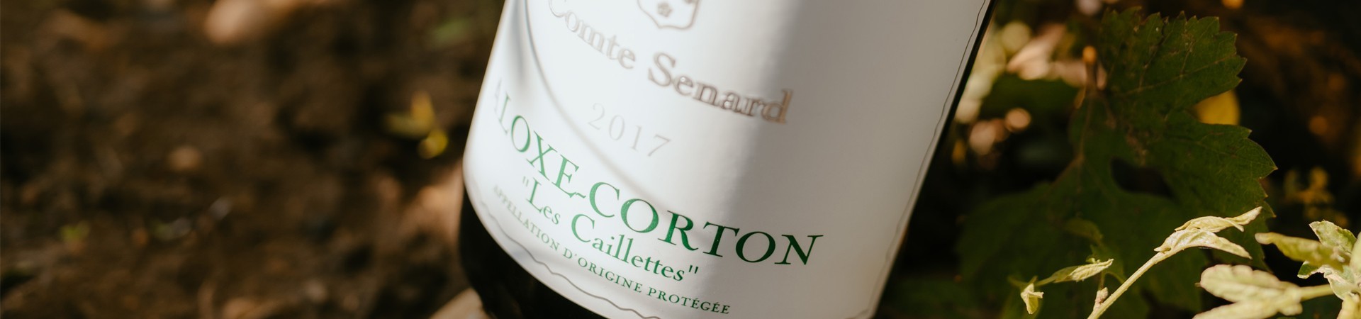 Vin de Bourgogne - Maison Benoit Chapelle